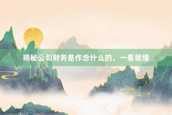 揭秘公司财务是作念什么的，一看就懂