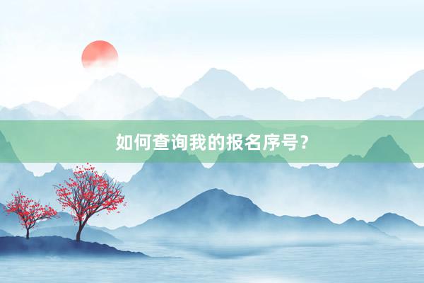 如何查询我的报名序号？