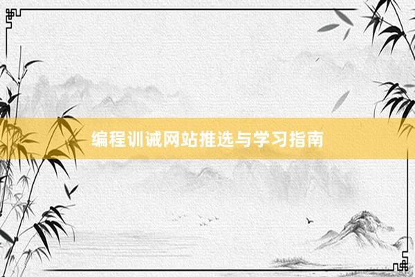 编程训诫网站推选与学习指南