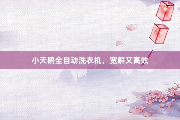 小天鹅全自动洗衣机，宽解又高效