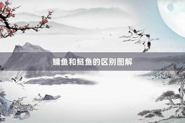鳙鱼和鲢鱼的区别图解
