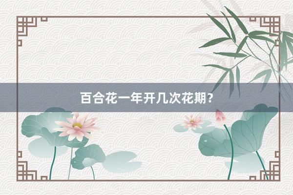 百合花一年开几次花期？