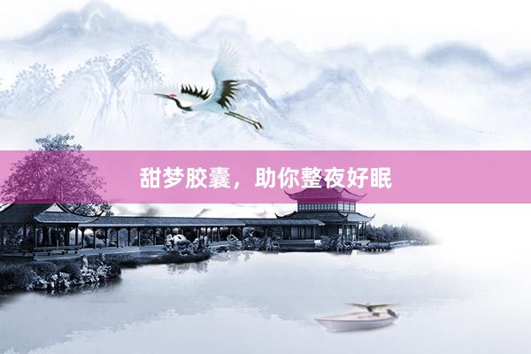 甜梦胶囊，助你整夜好眠